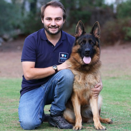 Médico Veterinário Dr. Diogo Sá Campos 